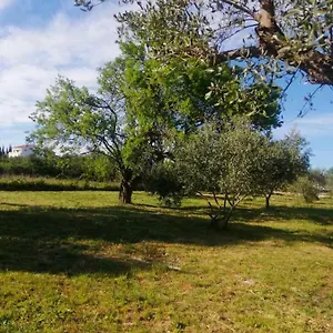 S&m Kemping Sveti Filip i Jakov